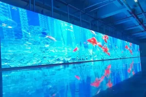outdoor screens