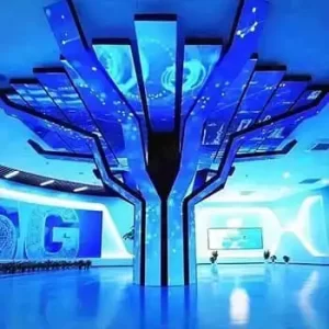 Shaped LED screen -FR Series