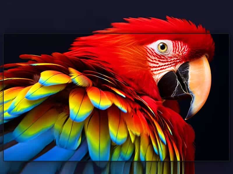 Fine pitch LED display showing vivid color and wide gamut detail
