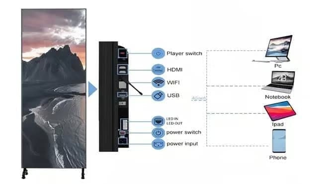 Multimedia Connections