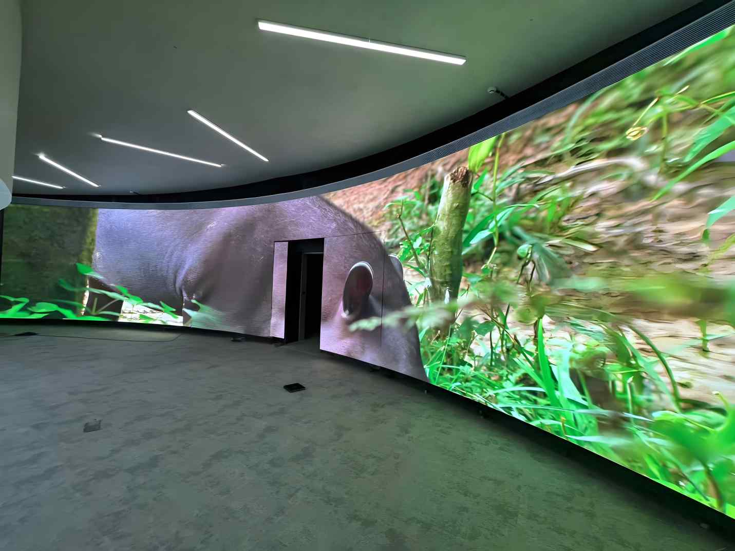 Indoor vs Outdoor: Pixel Pitch Requirements Are Very Different