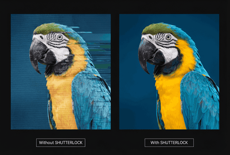 SHUTTERLOCK